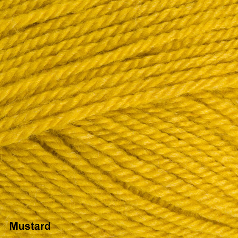 Stylecraft Special DK Yarn