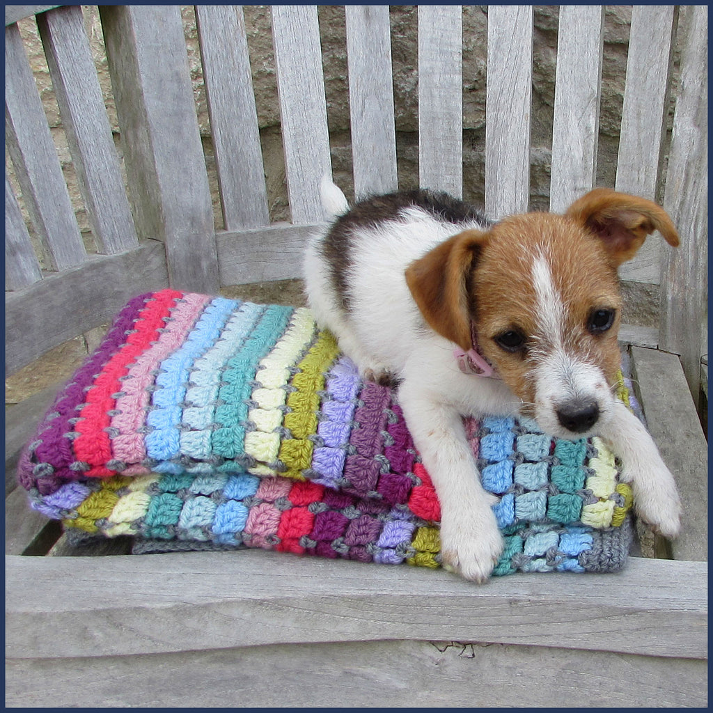 rainbow crochet blanket with puppy